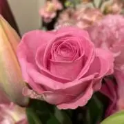 Flower（プロフ必読・即購入可）の画像
