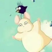 みやもの画像