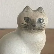 samlaの画像