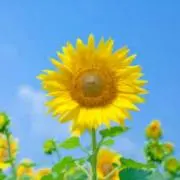 nana_ichiの画像