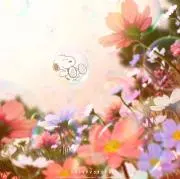 kissmagicの画像