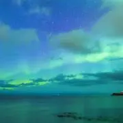 ゆでぃの画像