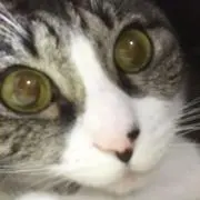 akiの画像
