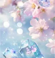 SANAの画像