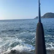 RRの画像