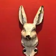 ウサマ★の画像