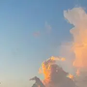 田中