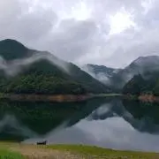 Ace168の画像