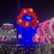ナツの画像