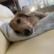 a♡
