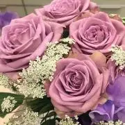 うさぎ♡の画像