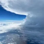 にーやんの画像