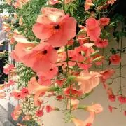 yoco＊の画像