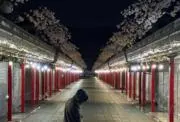 もんちっちの画像