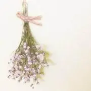 あすぱら