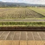 YOUの画像