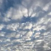 あやの画像