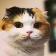 大竹一樹