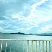 MAIの画像