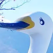 Michi☆の画像
