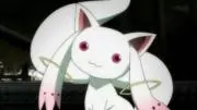 カブカブの画像