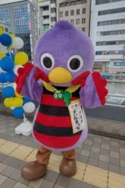 ぴろし。の画像
