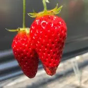 なお