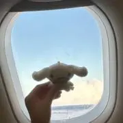 めめの画像