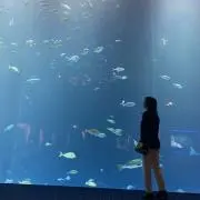 miの画像
