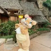 みょんの画像
