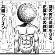 ブリオンの画像