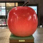 たろさんの画像
