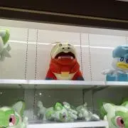 パインの缶詰
