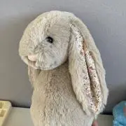 みうらびっとの画像