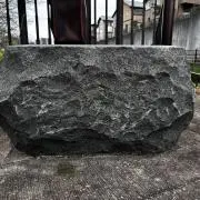フィキサ