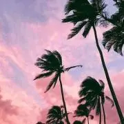 miの画像