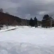 trbの画像