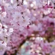 min☺︎の画像