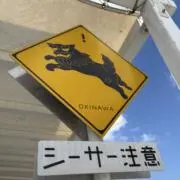 maaaaa♡の画像
