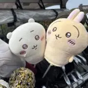 しぶこの画像