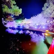 ゆうまzzの画像