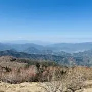 メリカリの画像