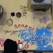 ちゅなの画像