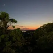 鰻犬