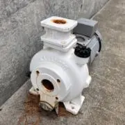 びーむんの画像