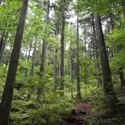 iryoiryoの画像