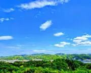 碧 / aoの画像