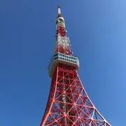 いすばるの画像
