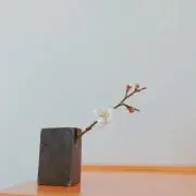 new⭐︎!新作続々と入荷中