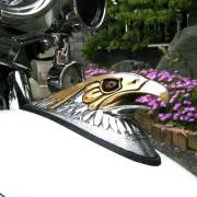 ウルトラの画像